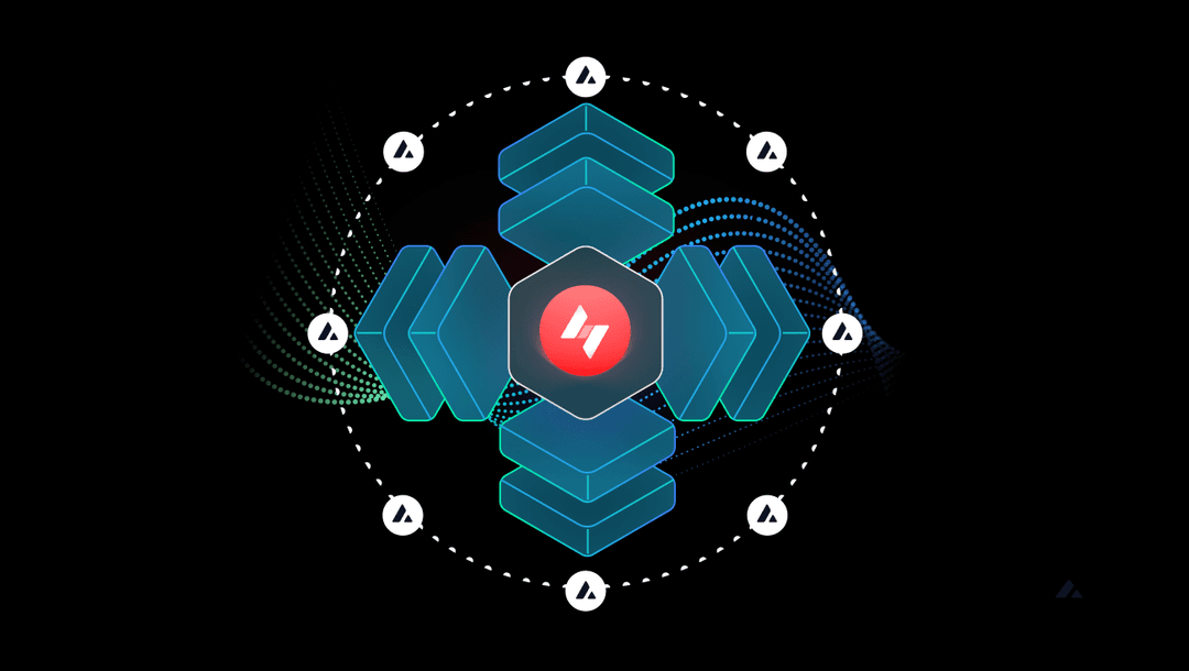 Feature image for Hypha Marketing Images