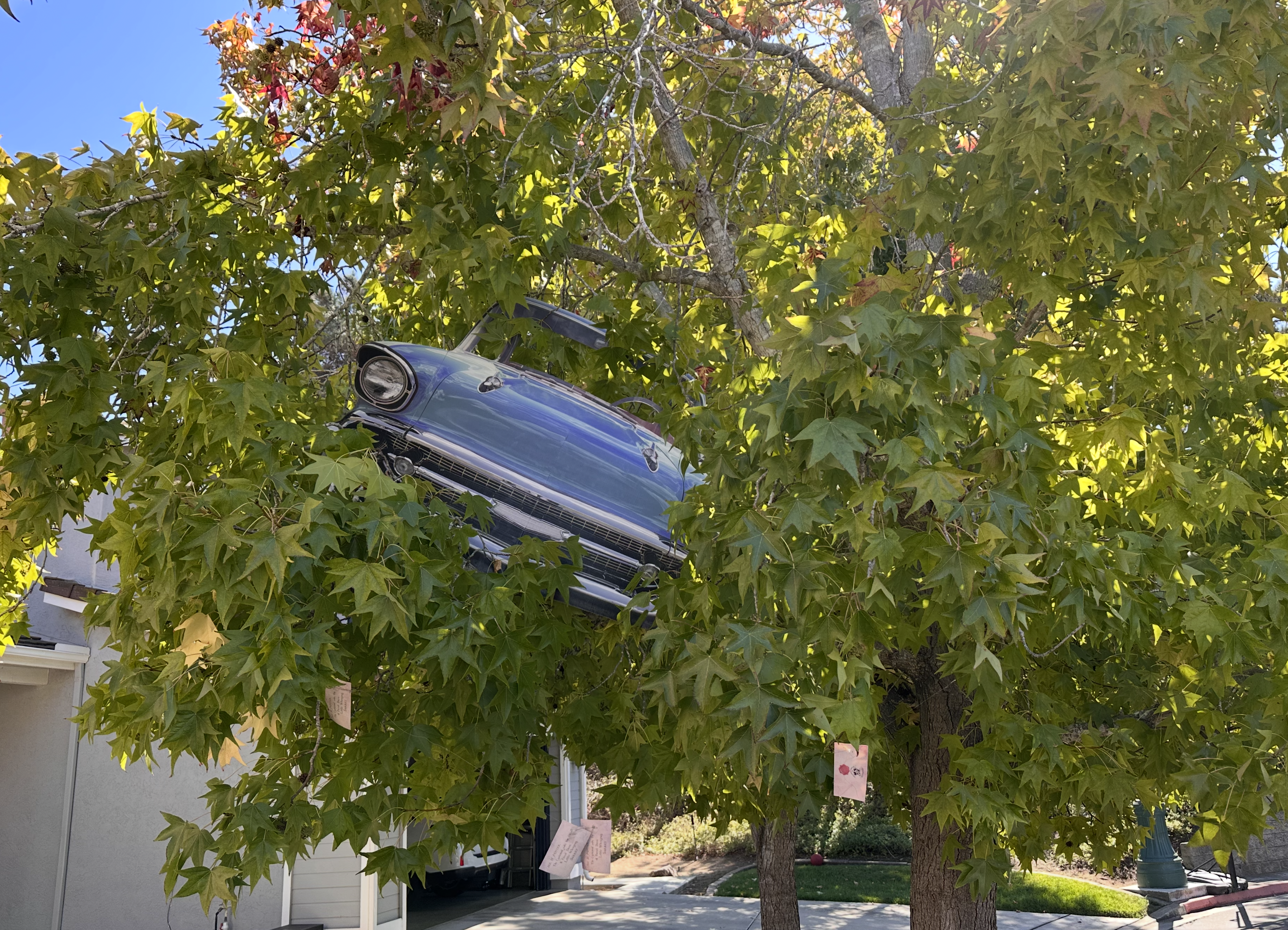 Harry Potter Experience onboarding screen