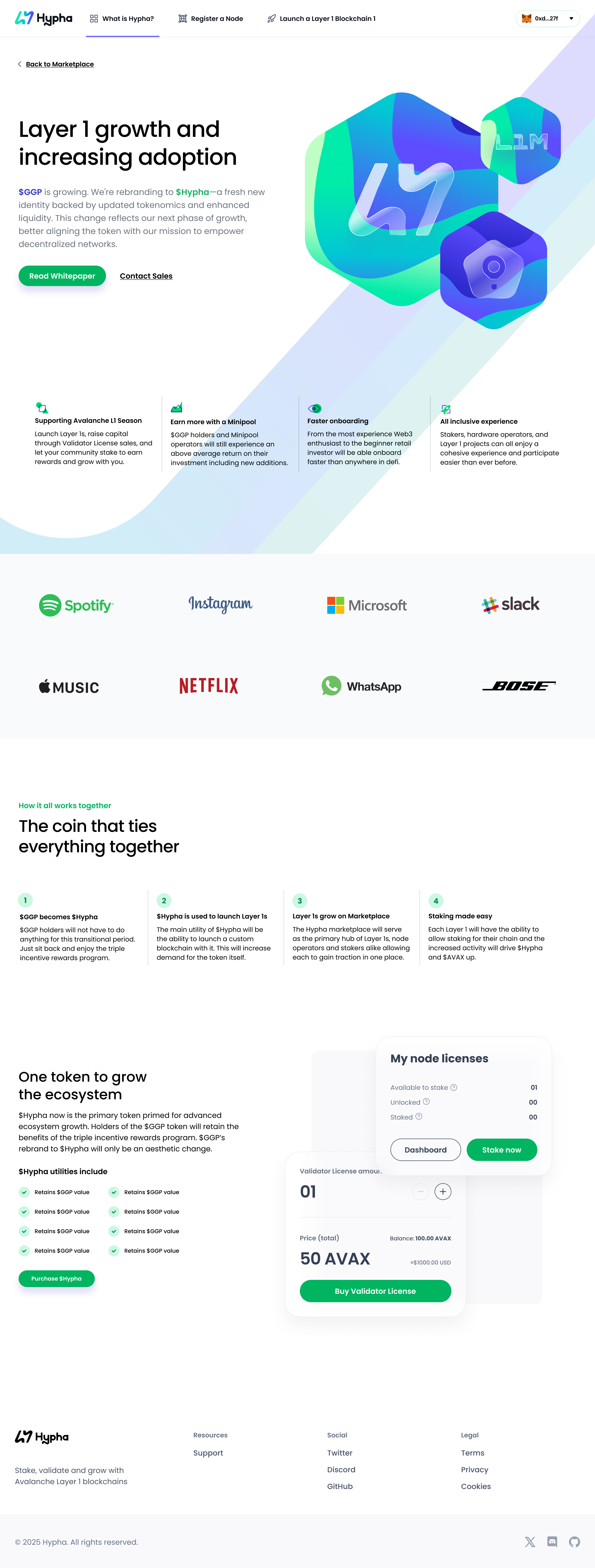 Full concept for What is Hypha