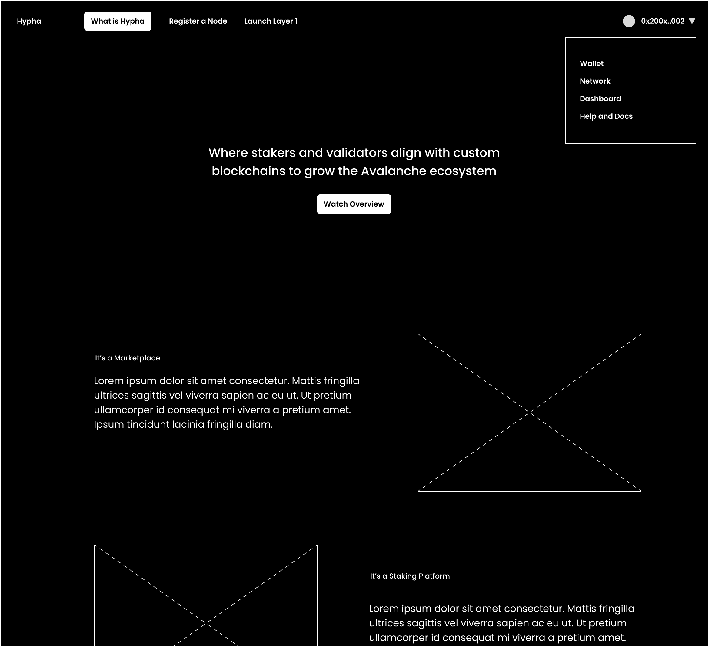 Concept for What is Hypha