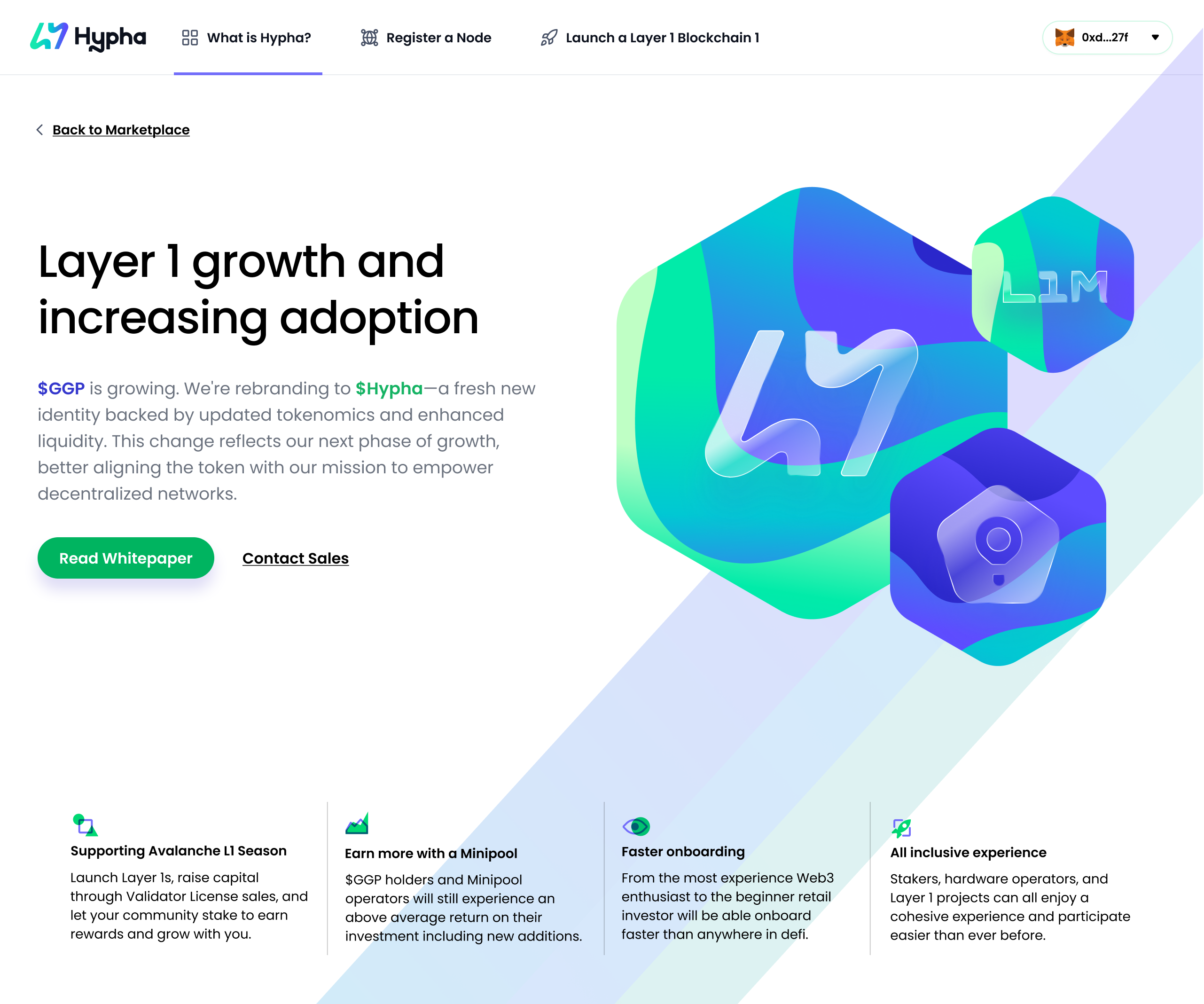 Concept for What is Hypha